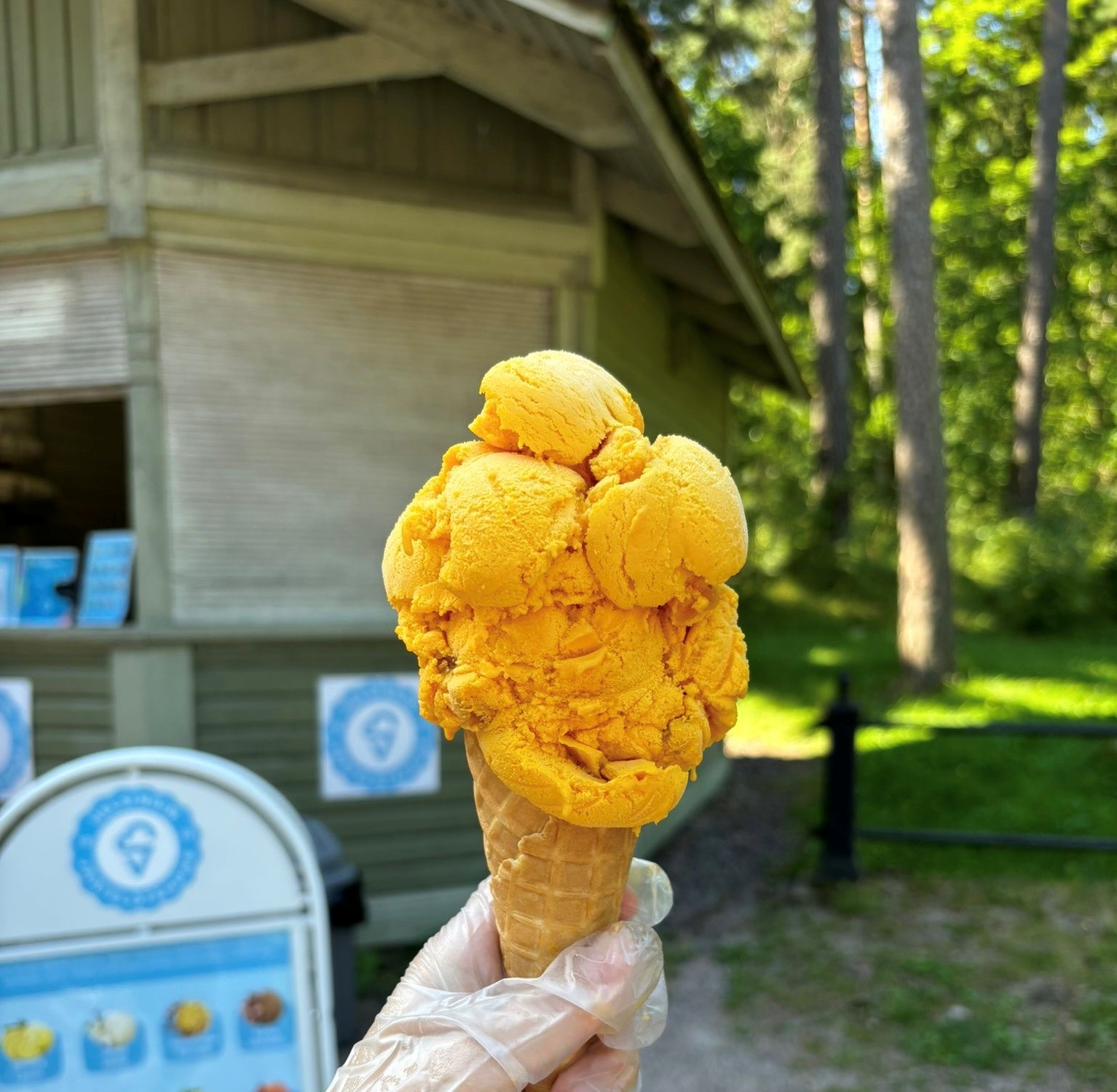 Appelsiinijäätelötötteröä pitelevä käsi, taustalla Magin jäätelökioski Helsingin Seurasaaressa.